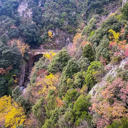 Soleil & Sur La Costa Cervione