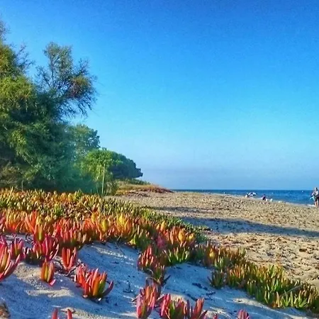 Daire Soleil & Sur La Costa