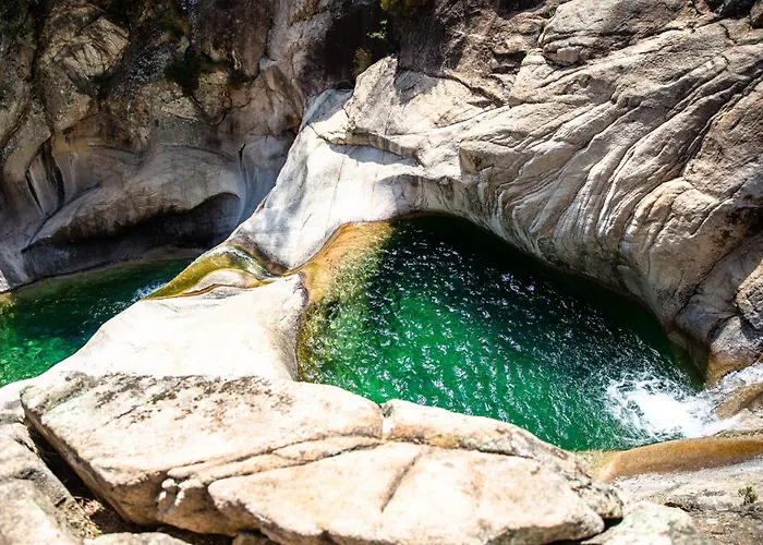 Daire Soleil & Sur La Costa Cervione