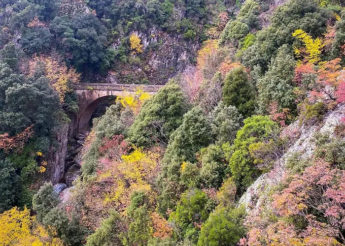 Soleil & Sur La Costa Cervione