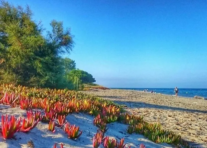 Daire Soleil & Sur La Costa