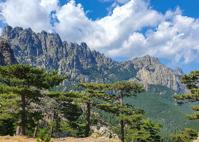 Appartement Soleil & Sur La Costa